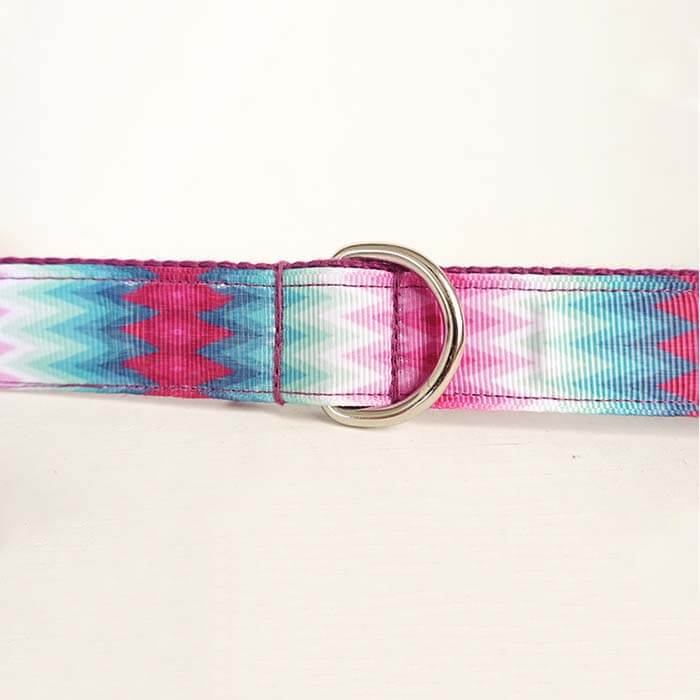 Dog Peacock Leash - Frenchiely