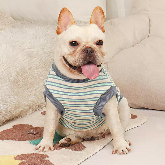Cotton Stripe Vest Shirt dogcottonstripeshirtforfrenchbulldogsbyFrenchiely_5