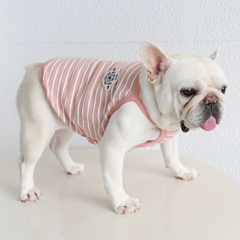 Cotton Stripe Shirt
