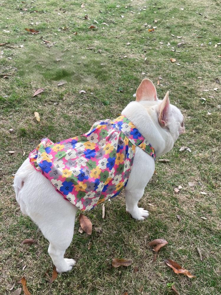 Dog Floral Dress for french bulldogs by Frenchiely