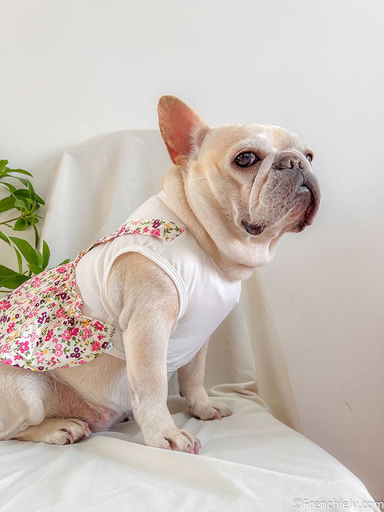 Dog Summer Floral Dress for medium dog breeds by Frenchiely