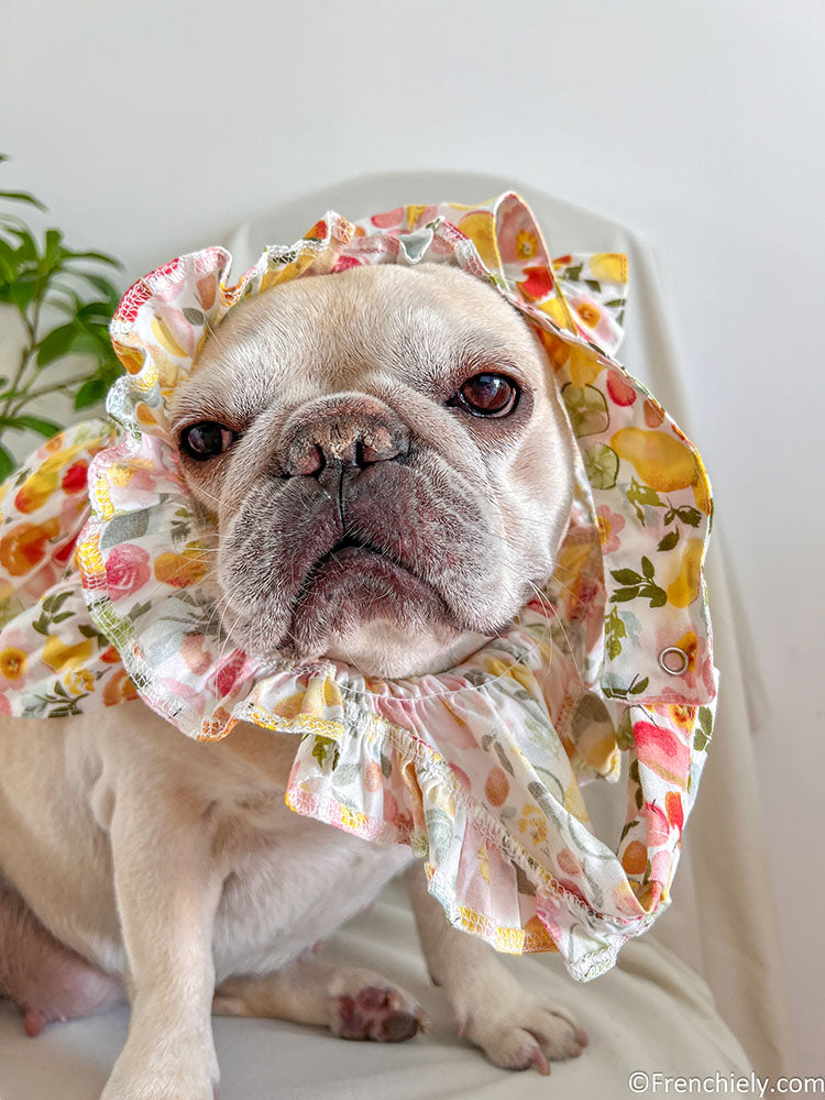 dog fruit print summer dress for small medium dogs