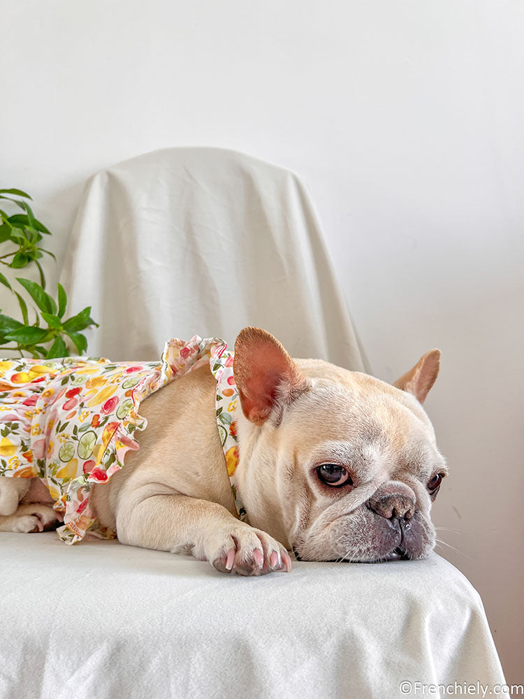 dog fruit print summer dress for small medium dogs