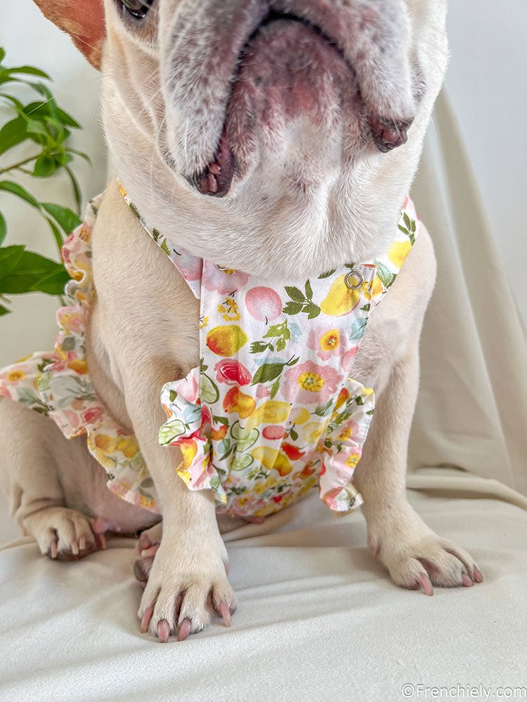 dog fruit print summer dress for small medium dogs