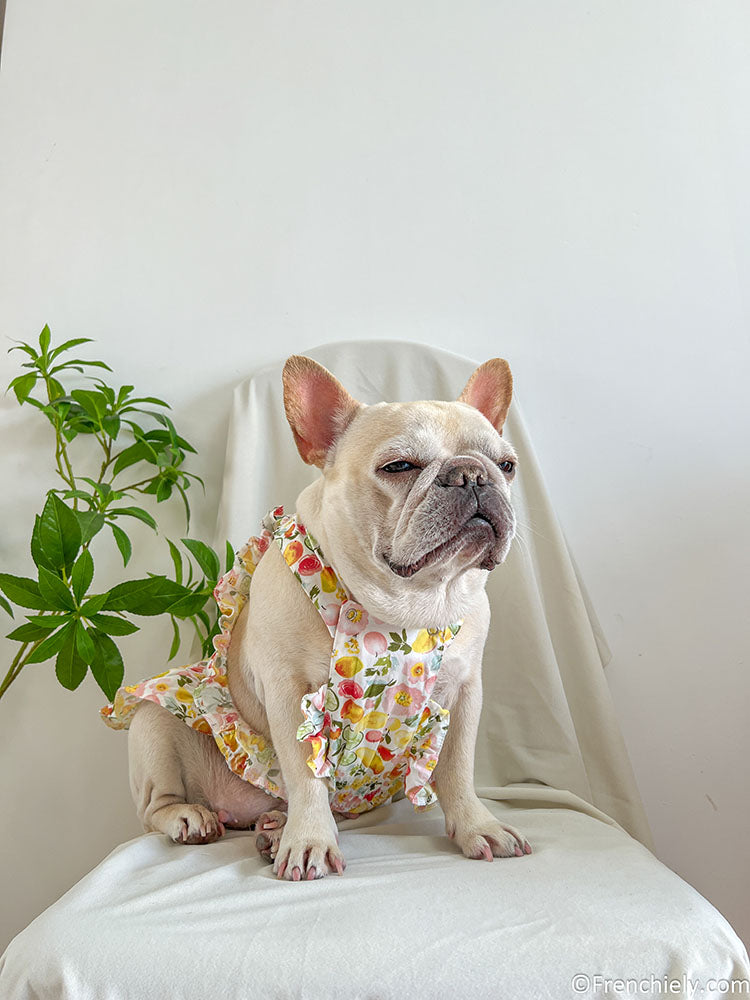 dog fruit print summer dress for small medium dogs