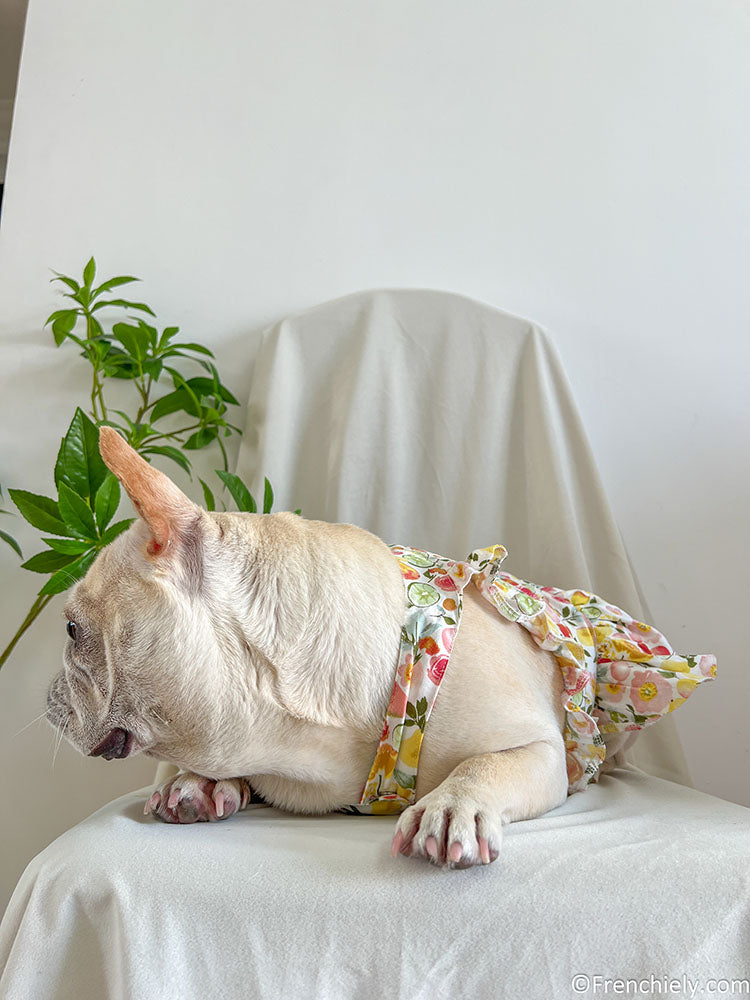 dog fruit print summer dress for small medium dogs