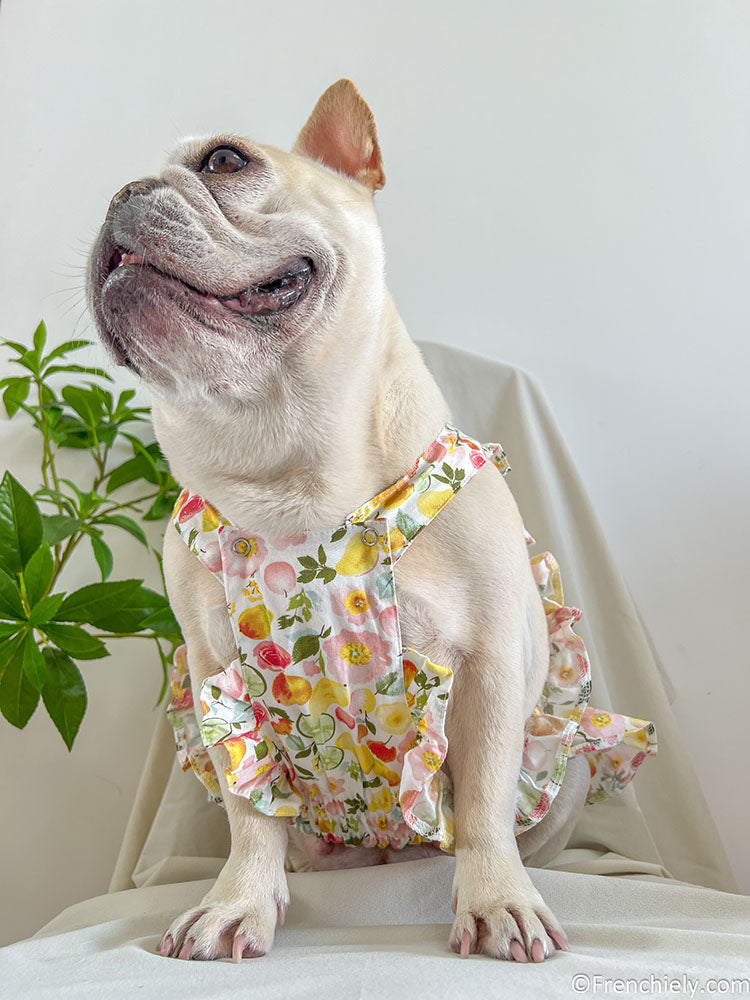 dog fruit print summer dress for small medium dogs