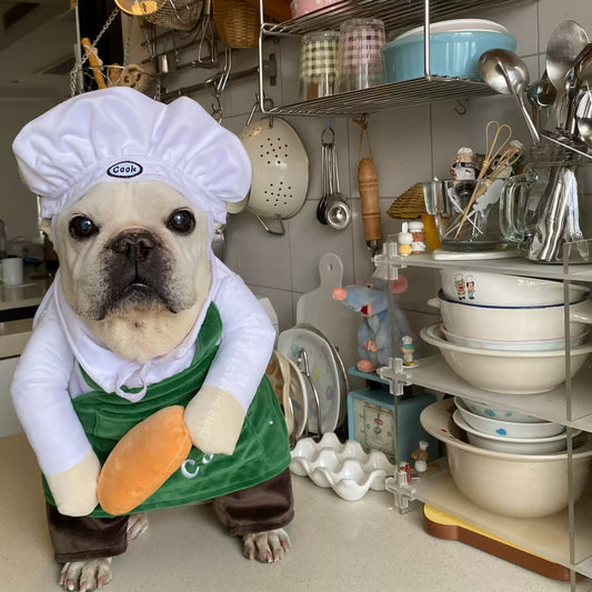 Funny Chef Costume dogfunnychefcostumeoutfitsformediumdogs_1