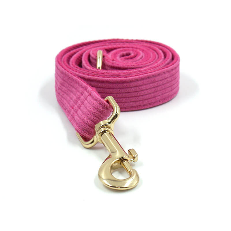 Dog Fuscia Leash Set - Frenchiely
