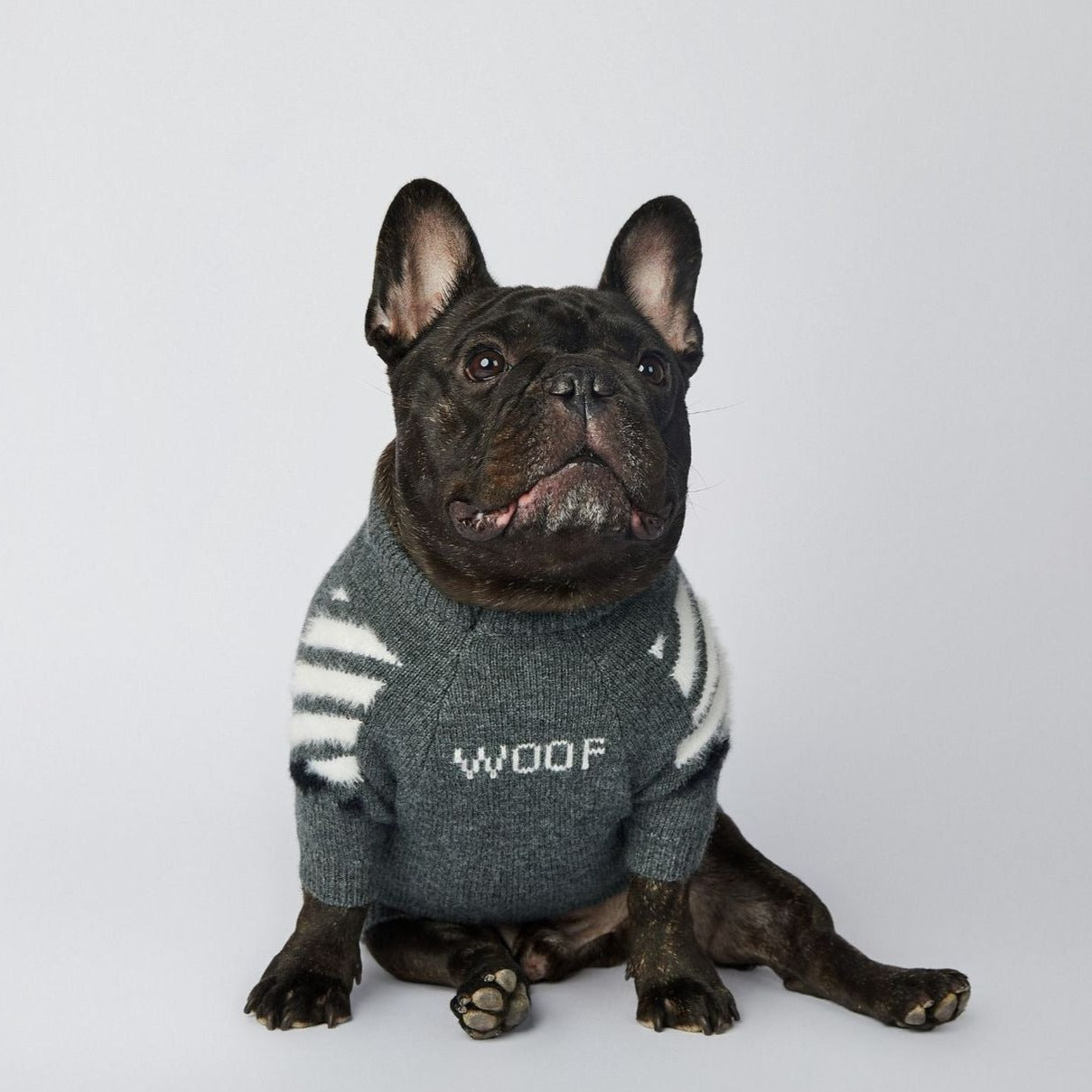 Dog Grey Woof Sweater - Frenchiely