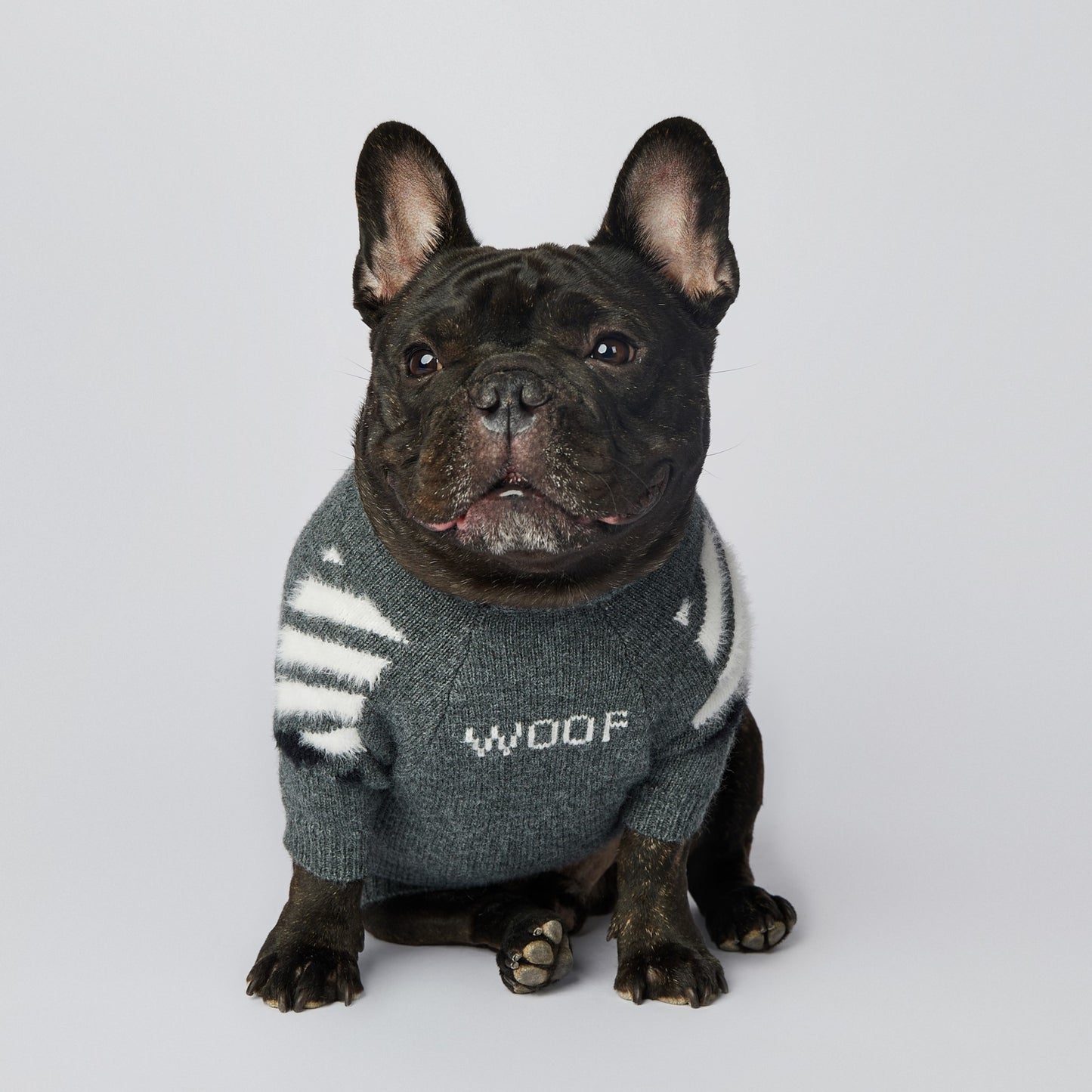 Dog Grey Woof Sweater - Frenchiely