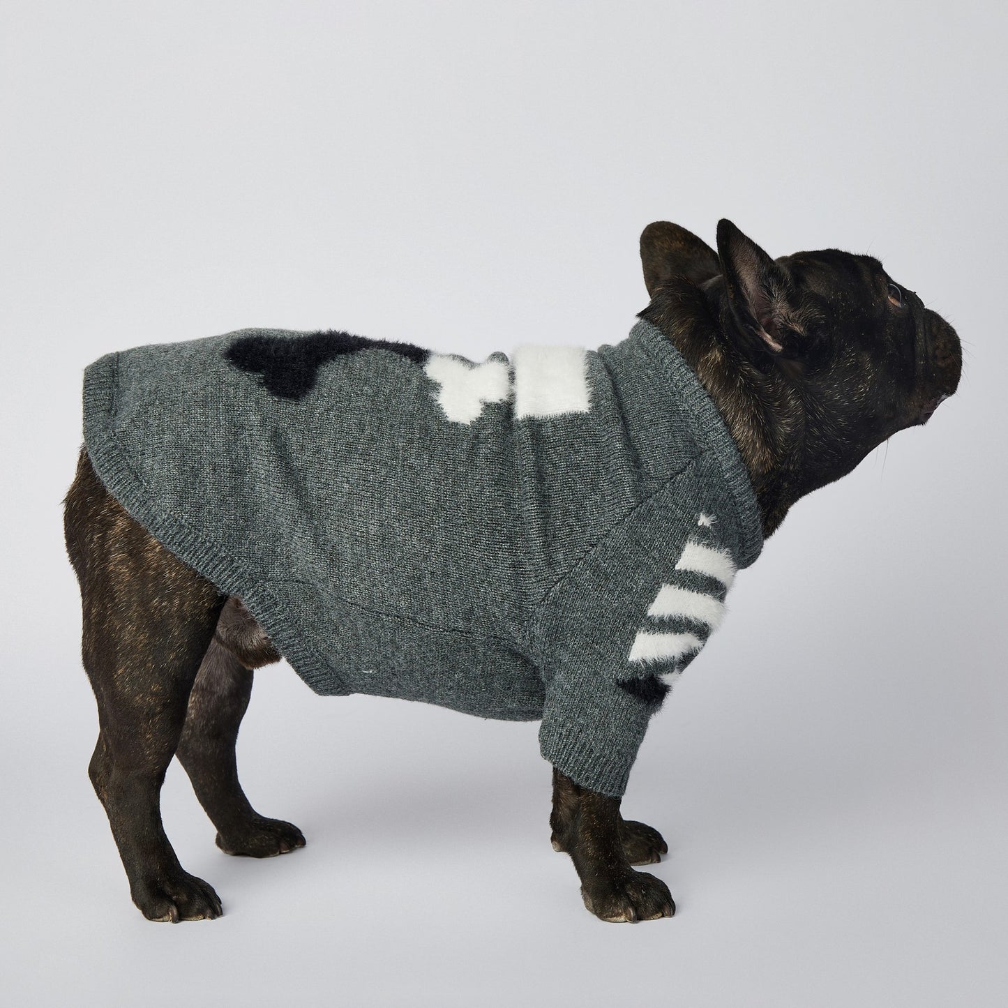 Dog Grey Woof Sweater - Frenchiely