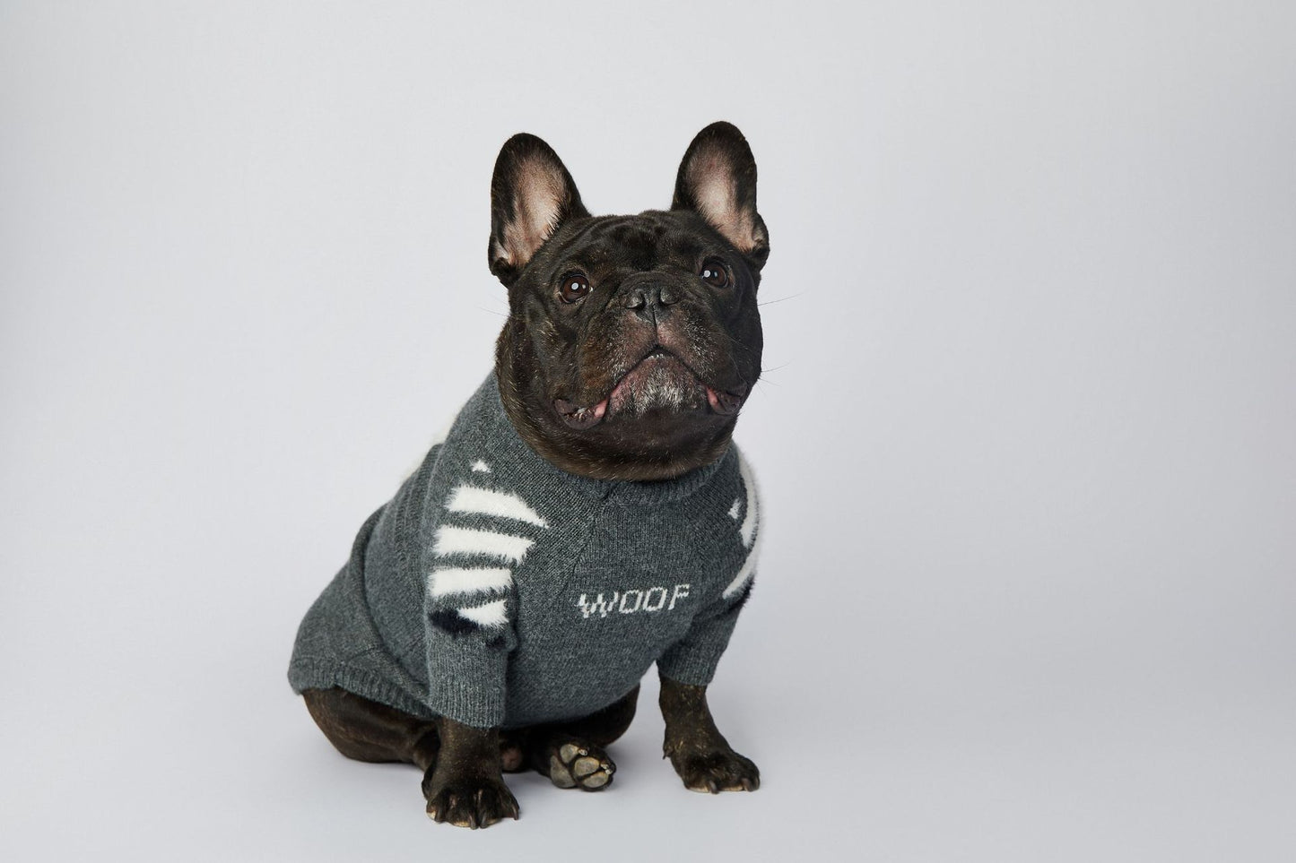 Dog Grey Woof Sweater - Frenchiely