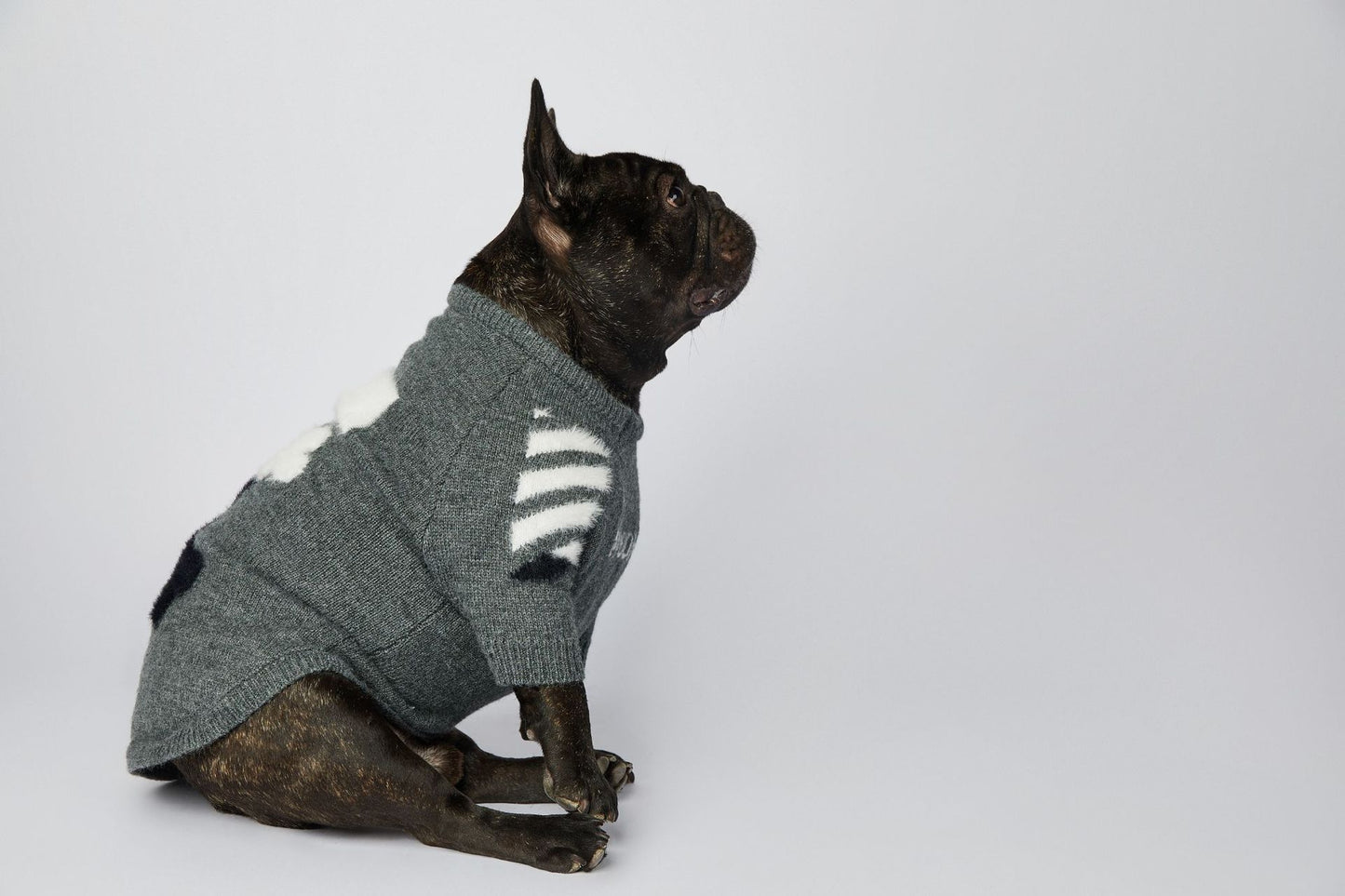 Dog Grey Woof Sweater - Frenchiely