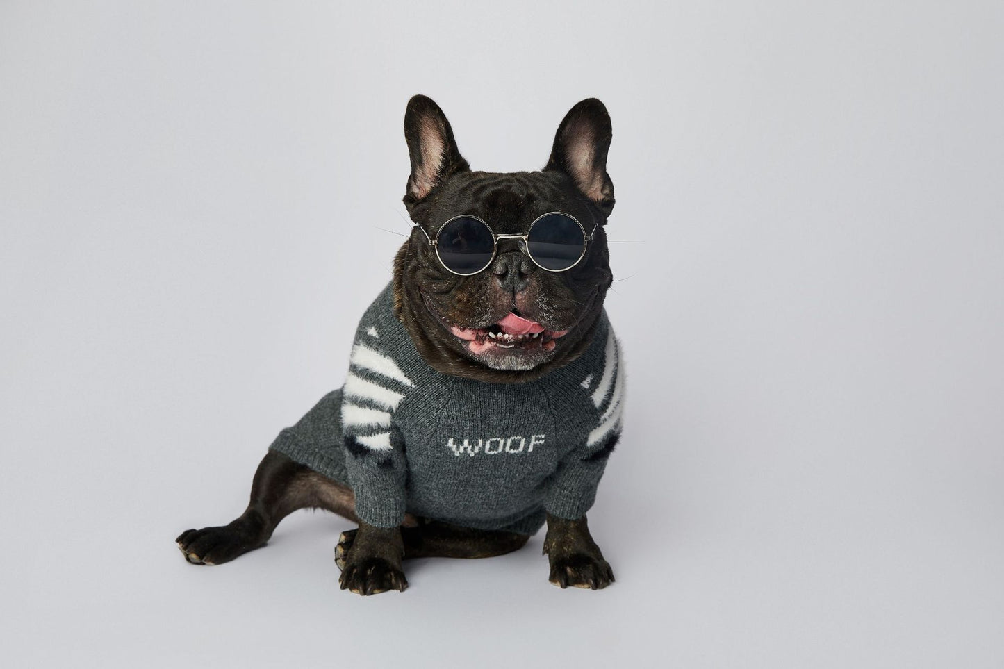 Dog Grey Woof Sweater - Frenchiely