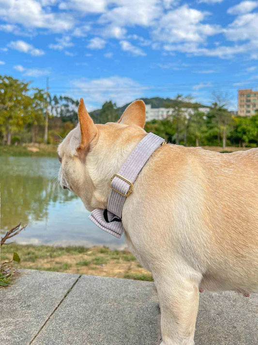 Dog Grey Leash Set - Frenchiely