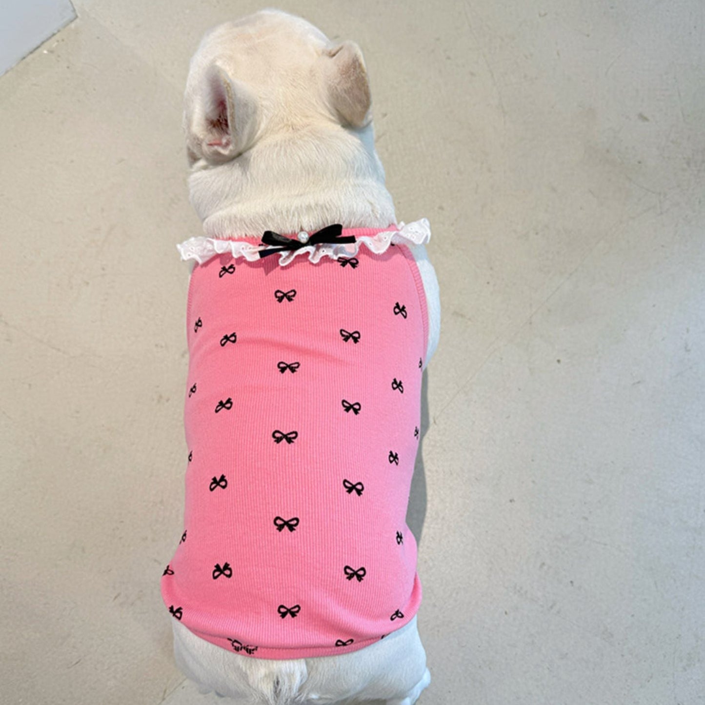 Decorative Lace Bowtie Shirt doggreylacefloralshirtformediumdogsbyFrenchiely022_1