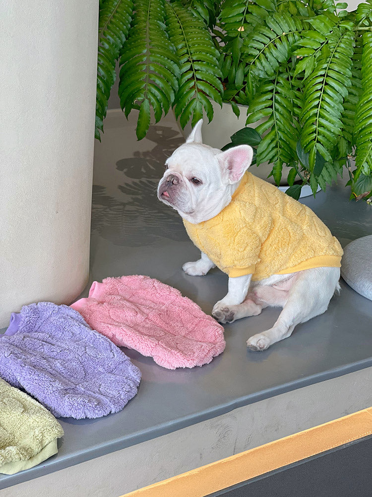 Dog Winter Warm Sweater with 3D ❤️ - Frenchiely