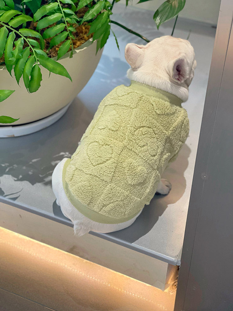 Dog Winter Warm Sweater with 3D ❤️ - Frenchiely