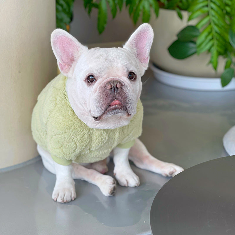 Dog Winter Warm Sweater with 3D ❤️ - Frenchiely