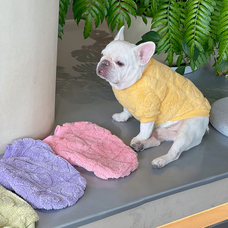 Dog Winter Warm Sweater with 3D ❤️ - Frenchiely