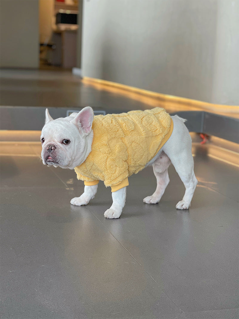 Dog Winter Warm Sweater with 3D ❤️ - Frenchiely