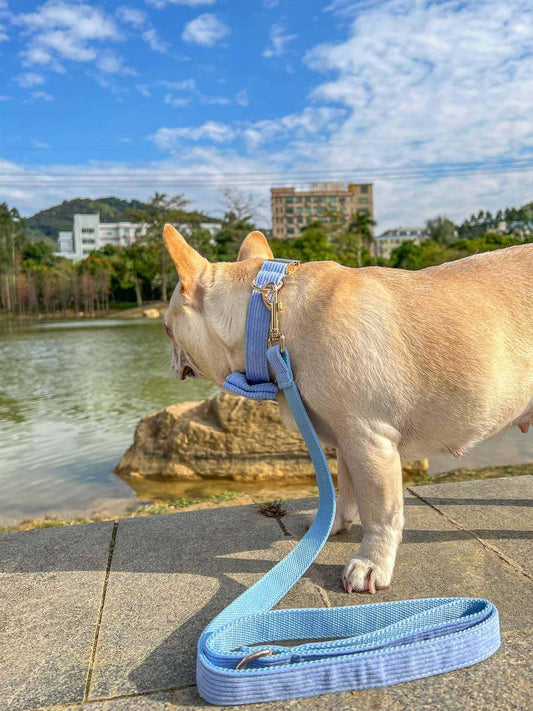 Dog Lilac Corduroy Leash - Frenchiely