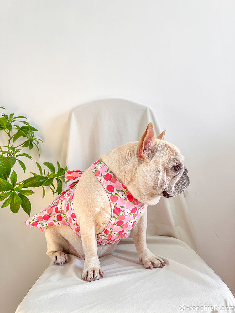 Dog summer pink litchi dress for small medium dogs by frenchiely