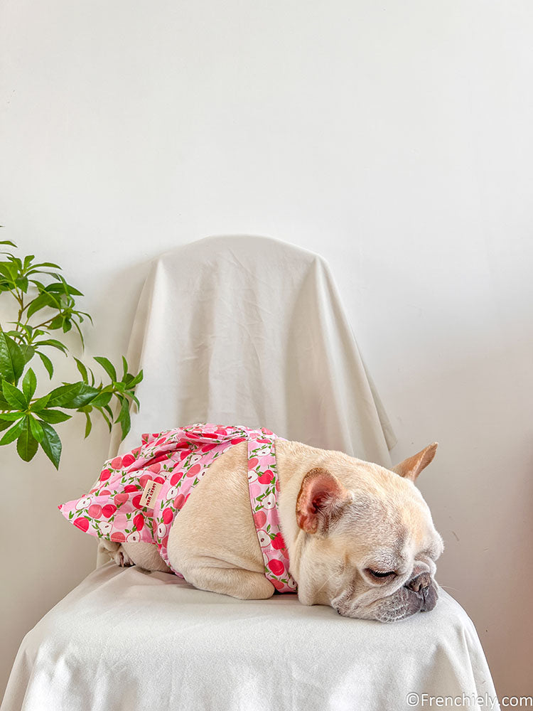 Dog summer pink litchi dress for small medium dogs by frenchiely