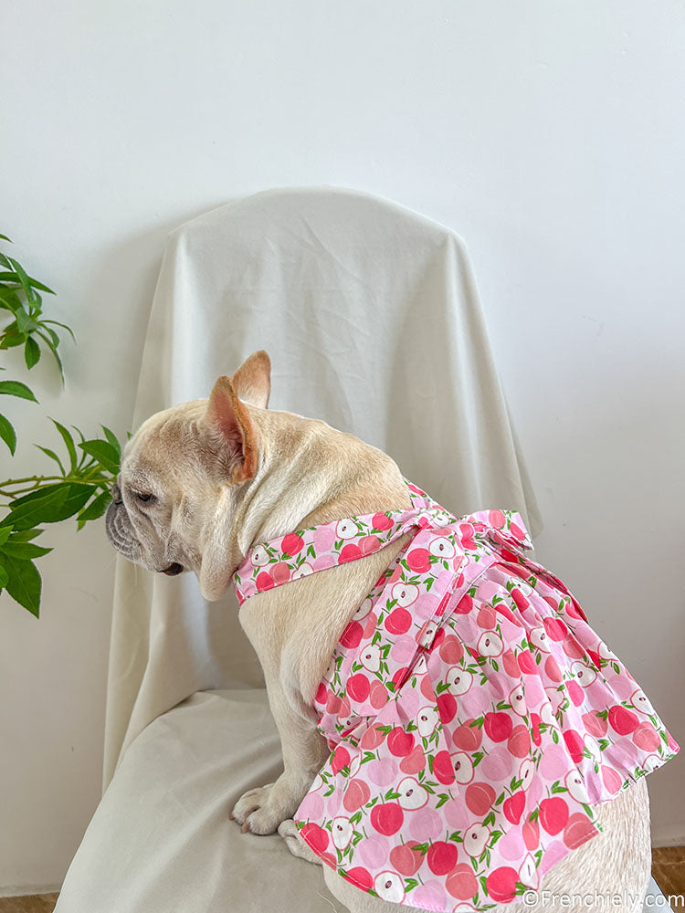 Dog summer pink litchi dress for small medium dogs by frenchiely