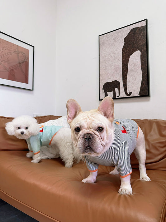 Dog Stripe Shirt- LOVE pullover for medium dogs