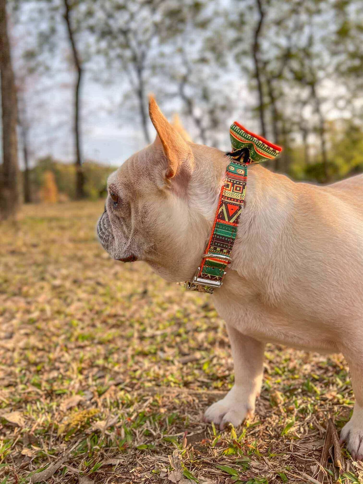 Dog Maya Print Collar - Frenchiely