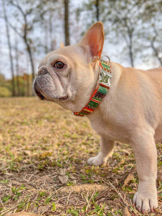 Dog Maya Print Collar - Frenchiely