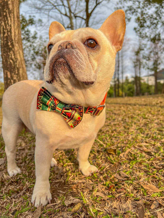 Dog Collar Leash Set-Maya - Frenchiely