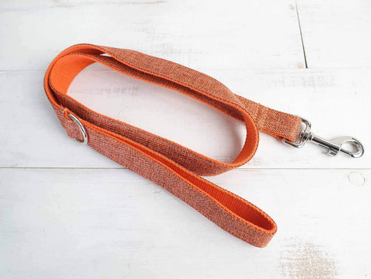 Dog Orange Leash - Frenchiely