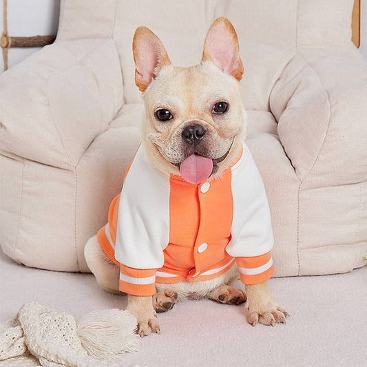 Orange Baseball Coat dogorangejacketcoatformediumdogs_1