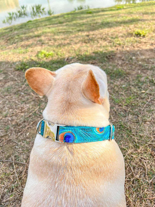 Dog Peacock Print Collar - Frenchiely