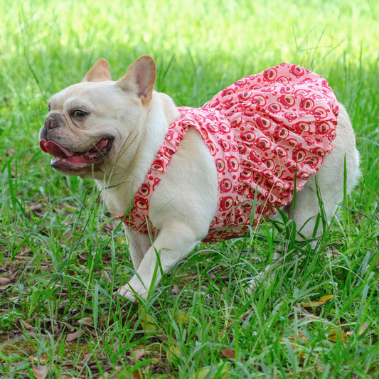 Summer Pink Bear Dress dogpinkbeardressforfrenchbulldogs_4