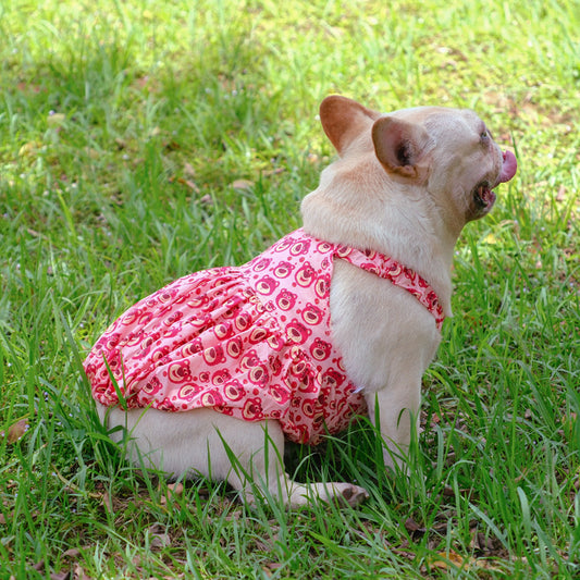 Summer Pink Bear Dress
