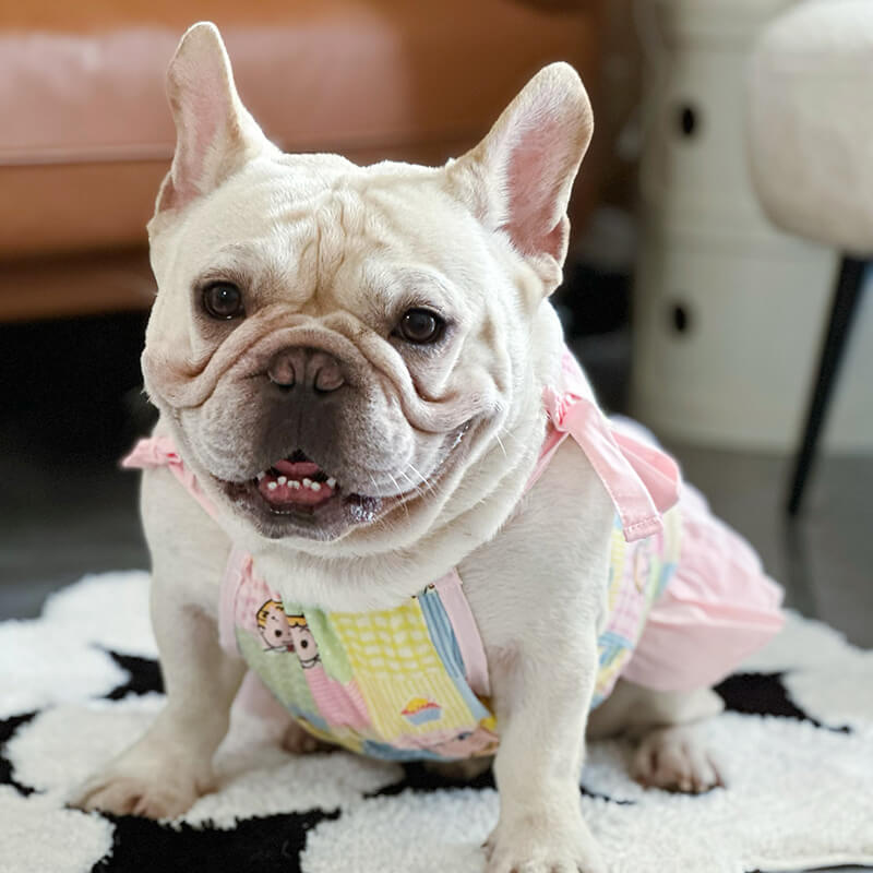 dog cartoon pink dress for small medium dogs by Frenchiely