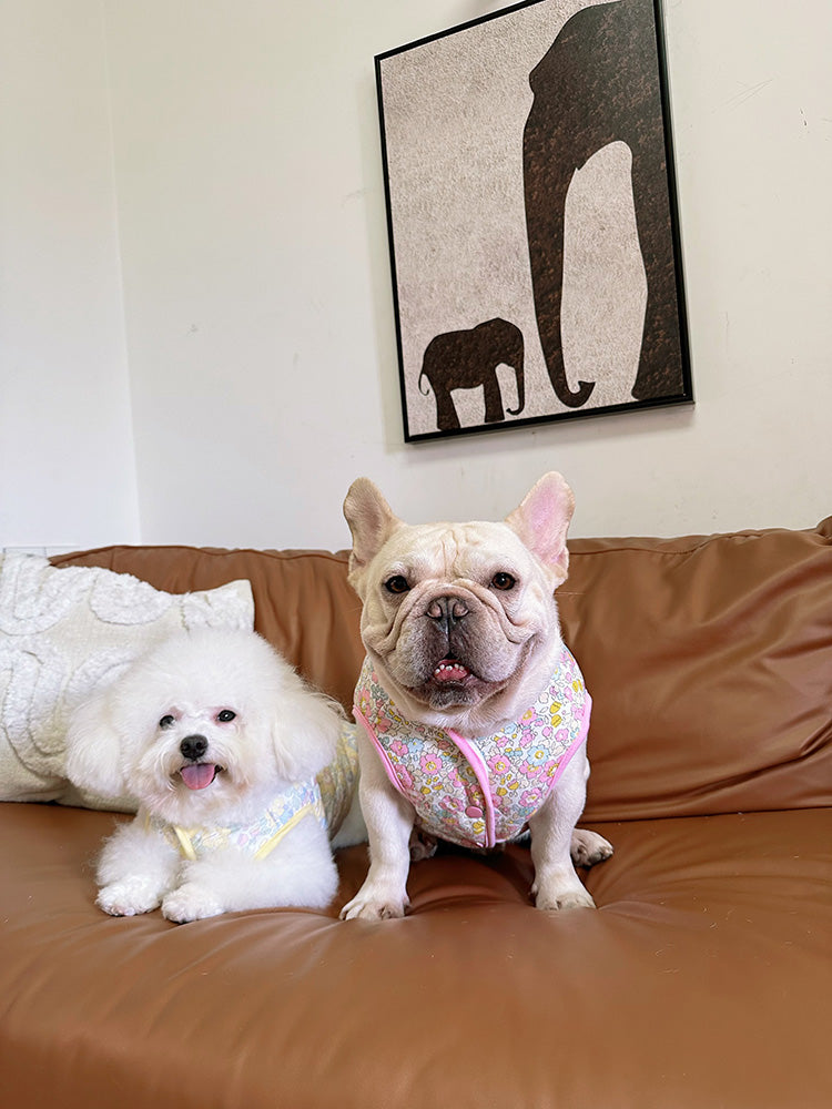 Dog Winter Floral Jacket for small medium dogs by Frenchiely