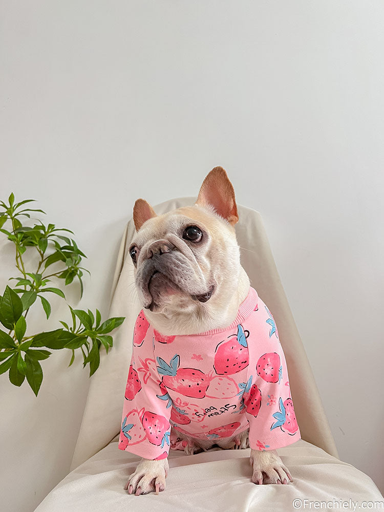 dog pink strawberry onesie pajamas for medium dog breeds by Frenchiely