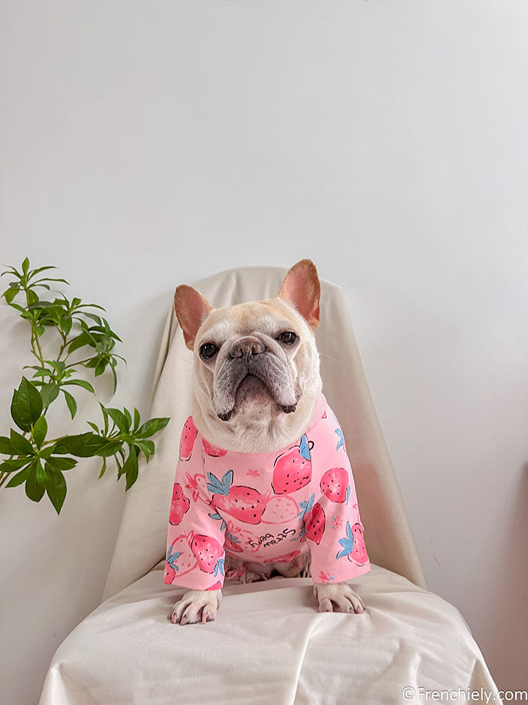 dog pink strawberry onesie pajamas for medium dog breeds by Frenchiely