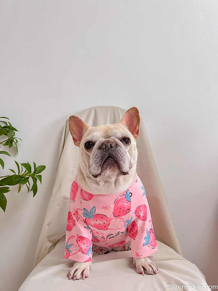 dog pink strawberry onesie pajamas for medium dog breeds by Frenchiely