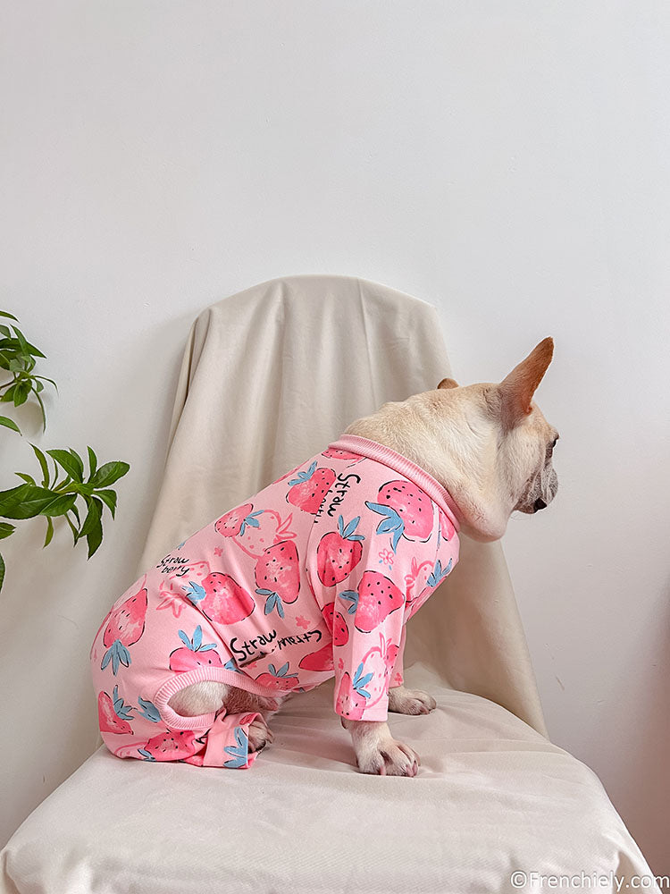 dog pink strawberry onesie pajamas for medium dog breeds by Frenchiely