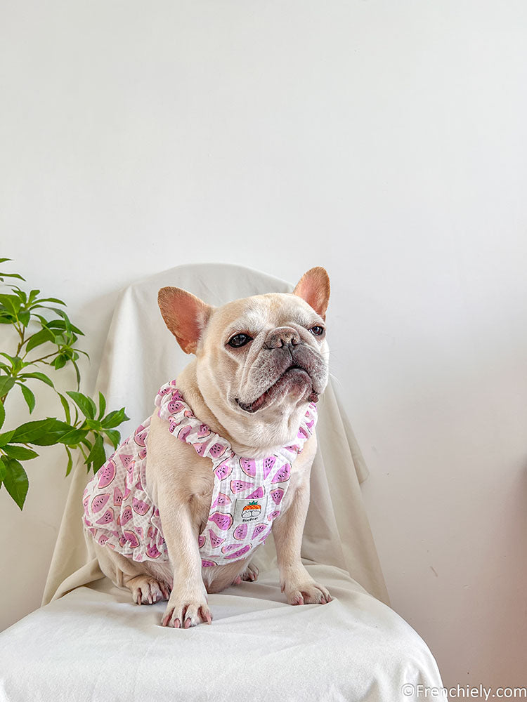 dog pink watermelon dress for small medium dogs