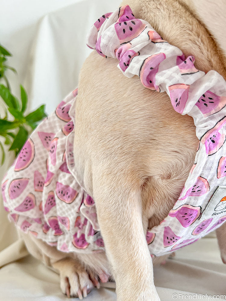 dog pink watermelon dress for small medium dogs