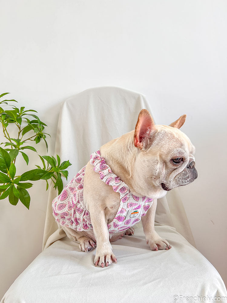 dog pink watermelon dress for small medium dogs