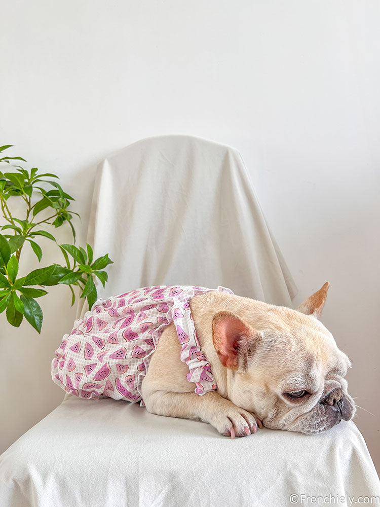 dog pink watermelon dress for small medium dogs