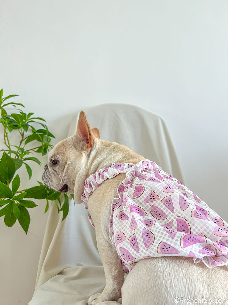 dog pink watermelon dress for small medium dogs